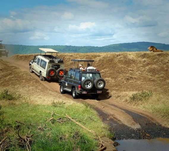 Safari Jeeps